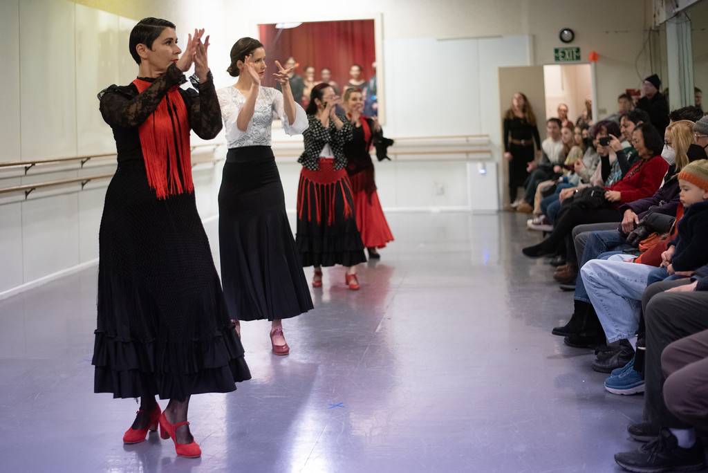 flamenco dance classes Flamenco dance classes at the American Dance Institute in Seattle and Shorline WA